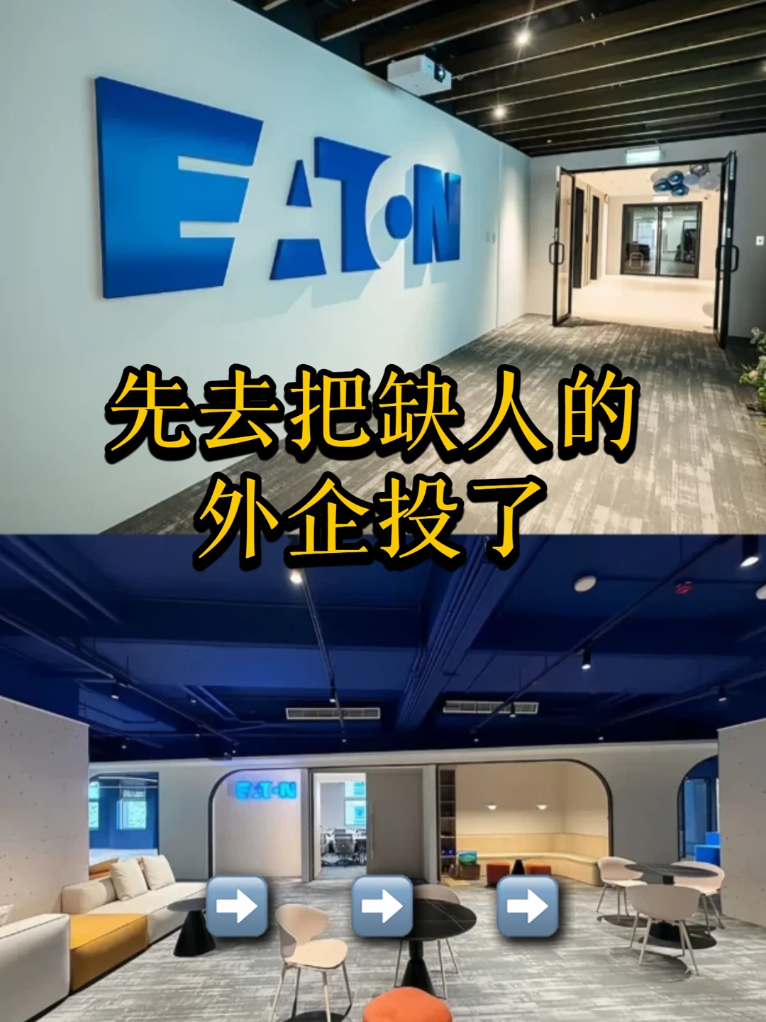 先去把缺人的外企投了