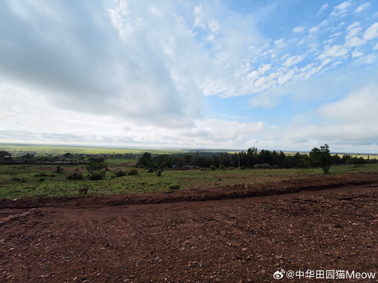 #vivo[超话]#
微博上的活人好少啊
我在vivo超话发了那么多条美图，只有AI回复过我[允悲][允悲][允悲]
心累了  ​