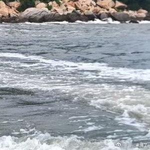 19号约会能不能带上我 ，我光吃饭不说话，我减肥吃得少，不说话还能帮拍...