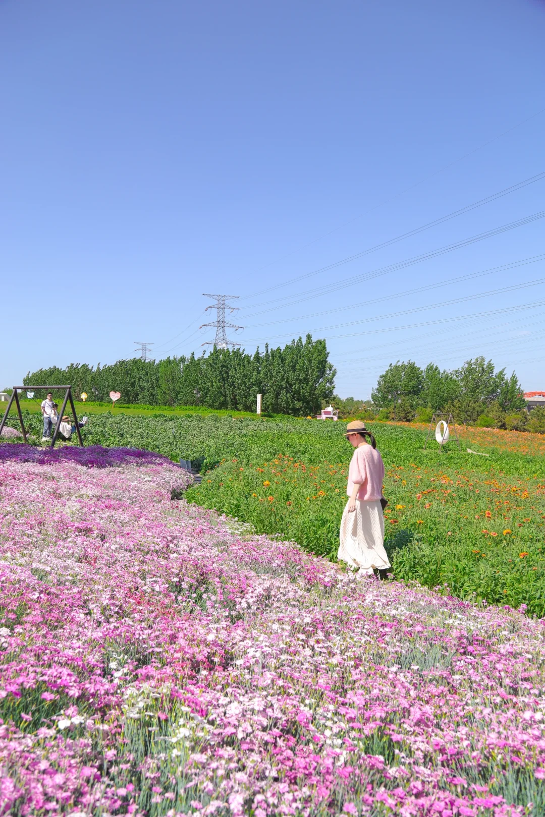 快冲❗❗青岛这么好看的公园怎么都没人去