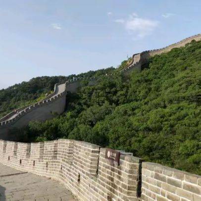 东财老陈