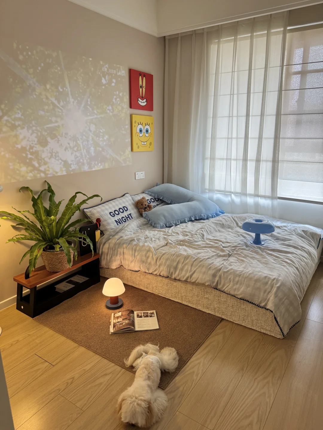 9m²小房间，好美啊，醒不了了！