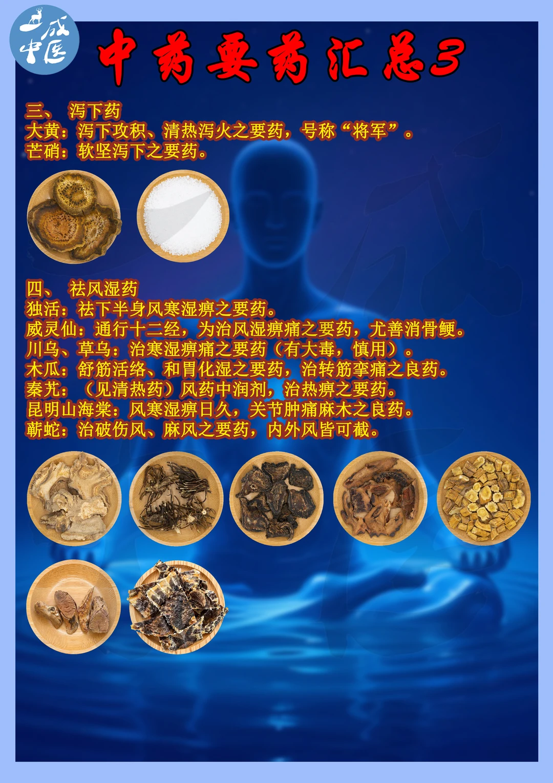 🌿中药“要药”汇总！3.4.5