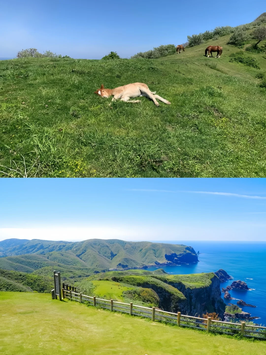 去了日本这个“无人岛"，我不想回来了…