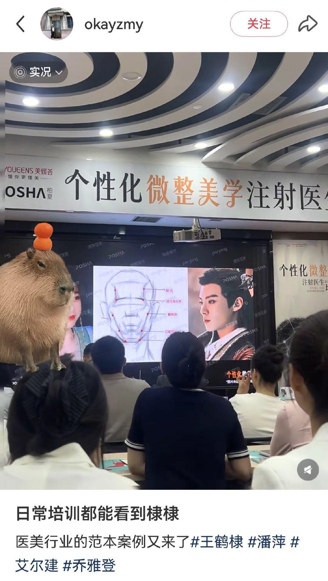 小弟弟这张脸真的很权威了[酷] ​