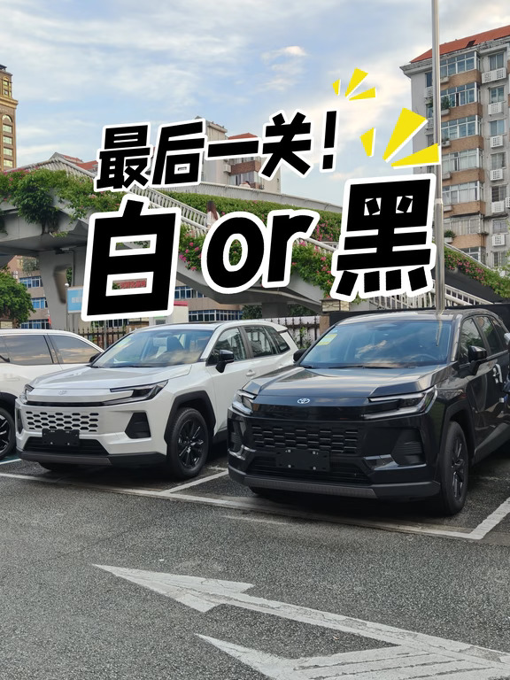最后一关！决赛圈！白还是黑！