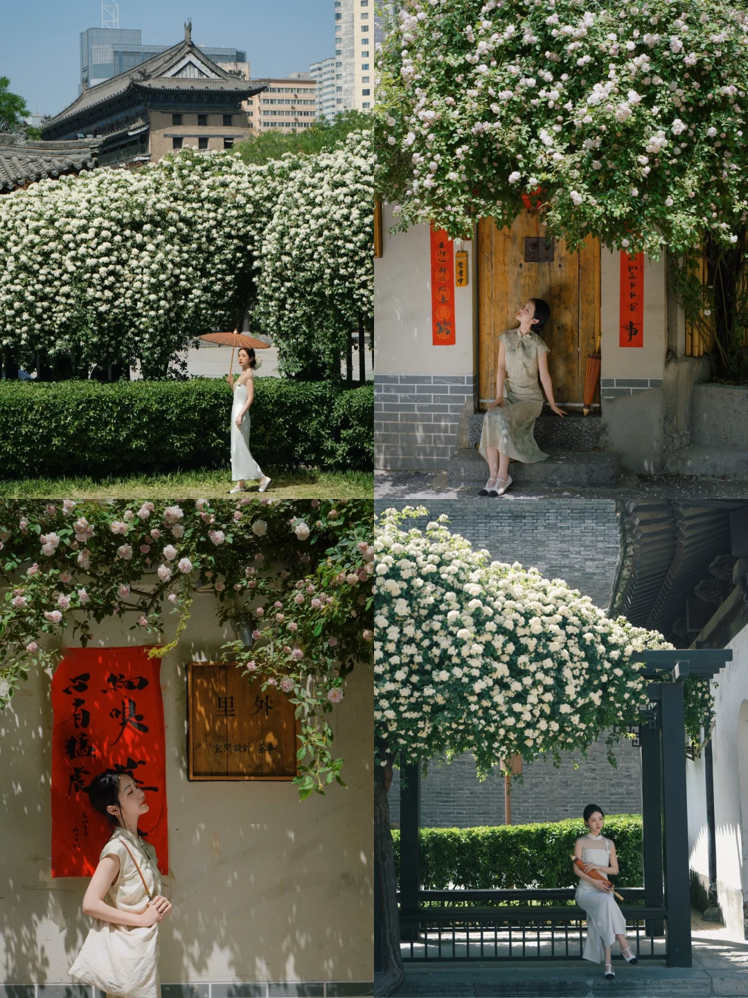 4月城墙下适合拍人像的花花点位合集