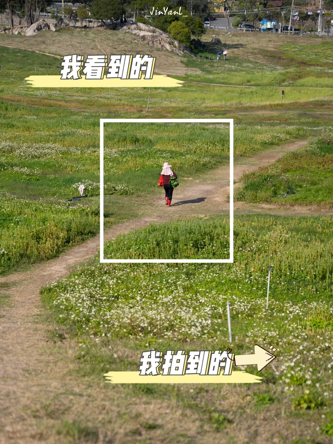 我看到的vs我拍到的｜借我一双摄影眼👀