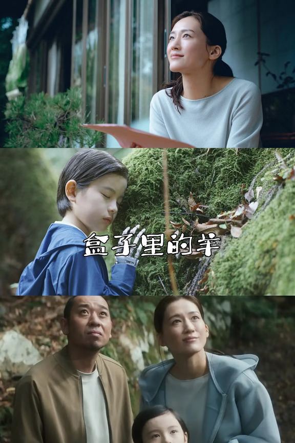 🎬电影《盒子里的羊》