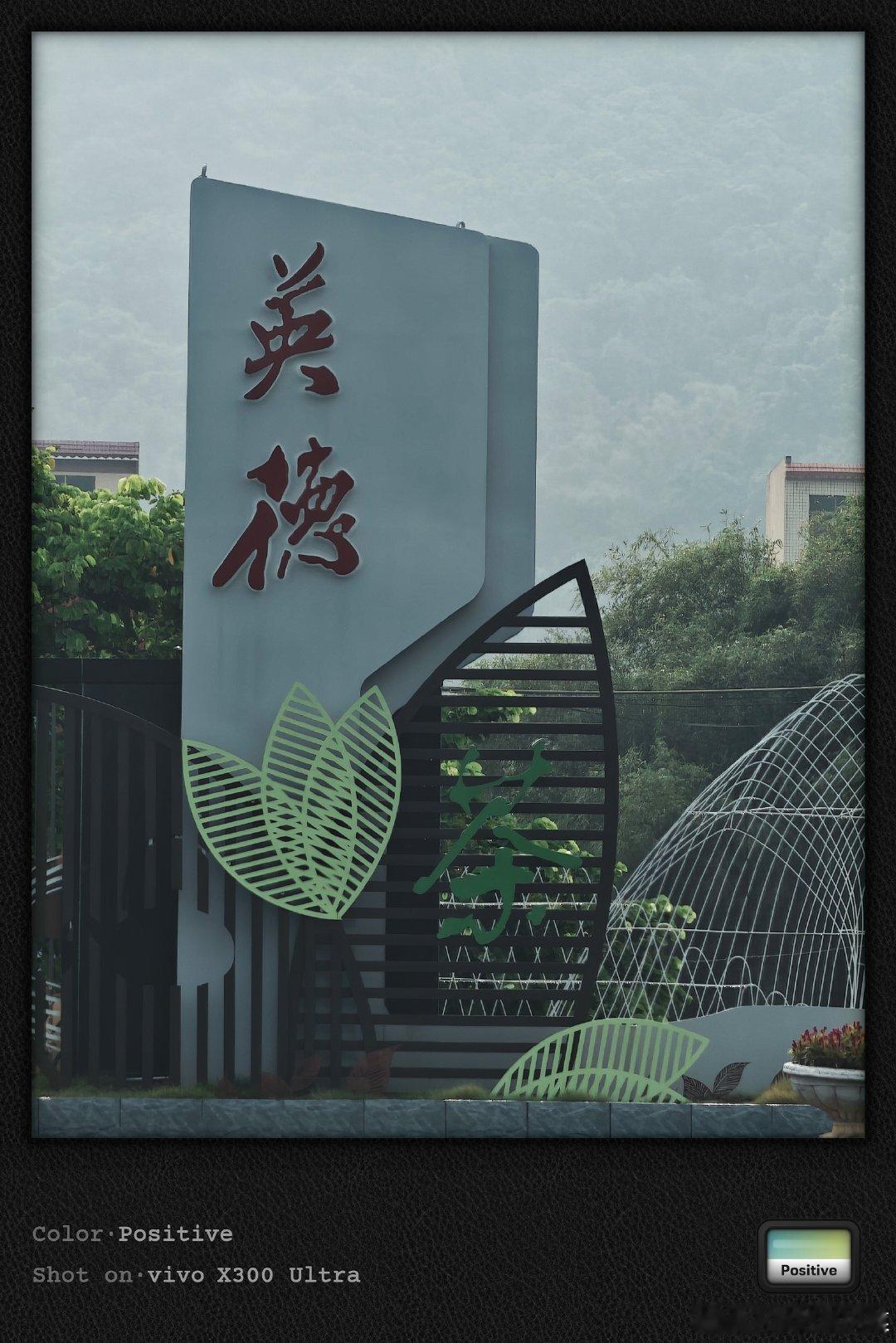 #vivo[超话]# 一路向北，又是雾又是雨#微博影像年##随手拍#  ​