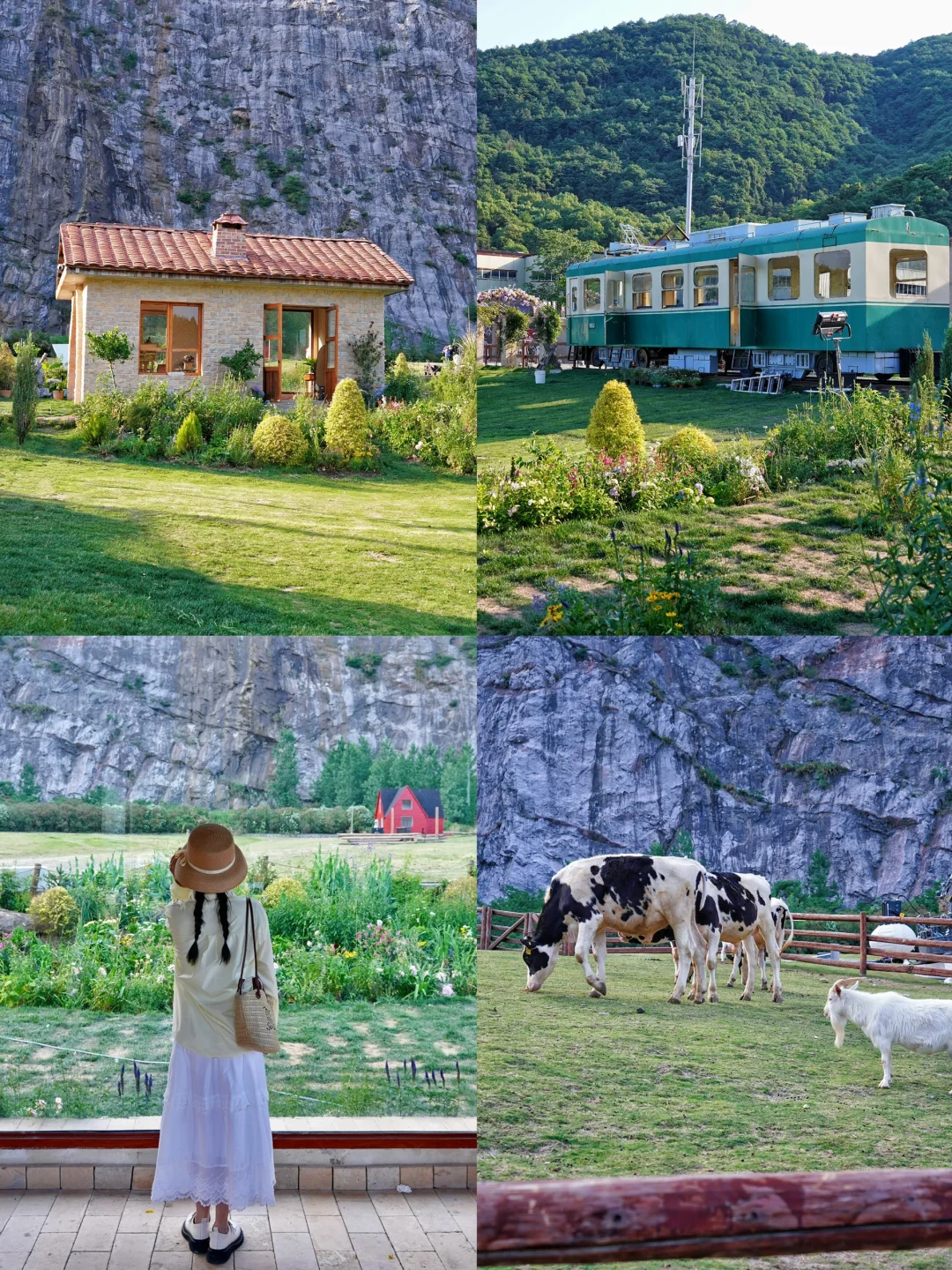 不是新西兰❗️我在杭州找到了牛马的快乐❗️❗️