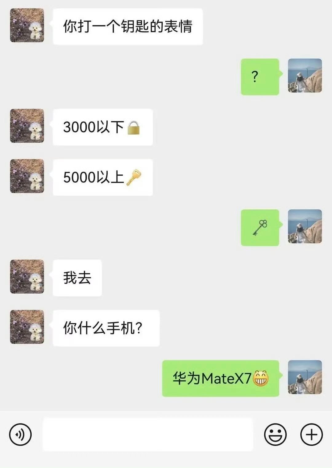 试一试 ​