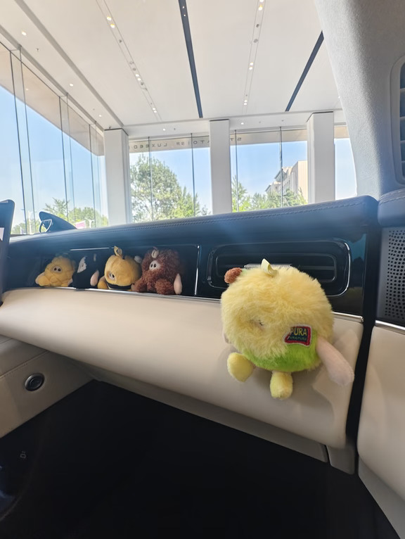 来，进我的车🚗
