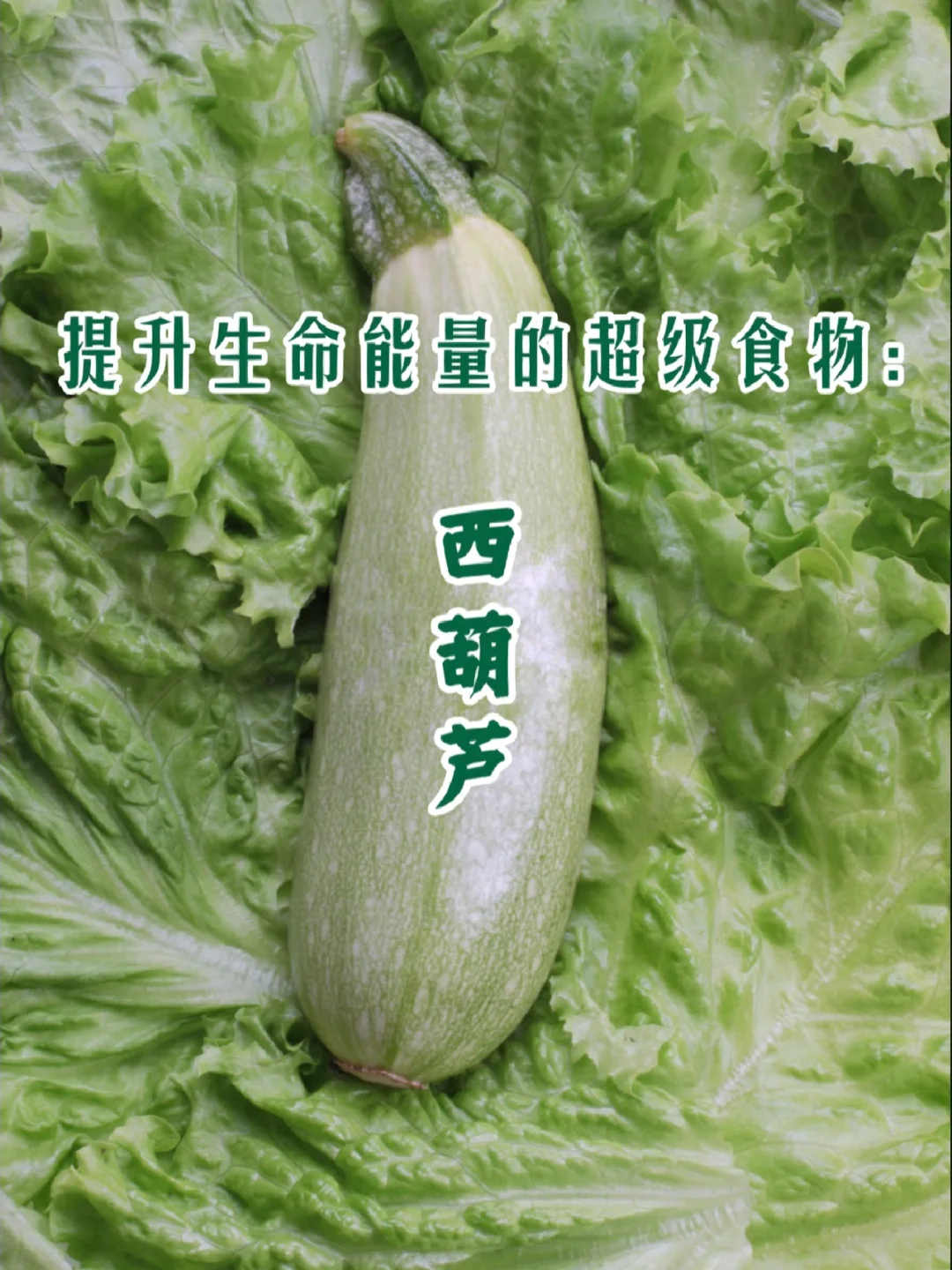 宇宙疗愈食物之：西葫芦