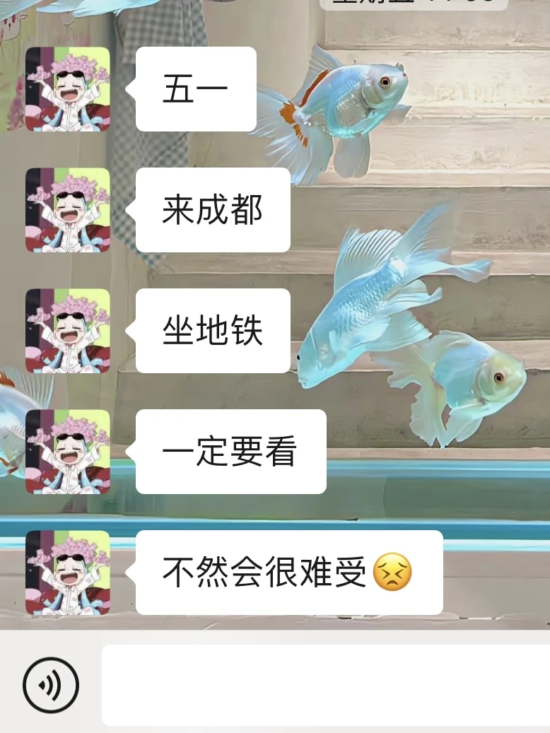 别找了！！五一成都地铁最强攻略来啦！！！