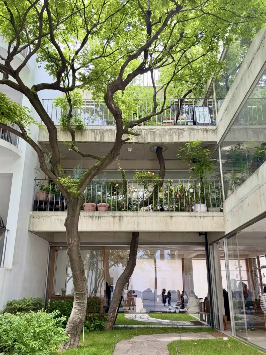 上海的好地方都是免费的）纳凉版🧊