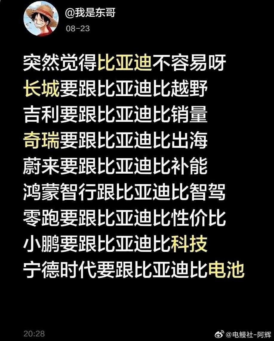 这博主是个人才，这么精辟的都被总结出来了[嘻嘻]
#大v聊车##比亚迪[超话]# ​