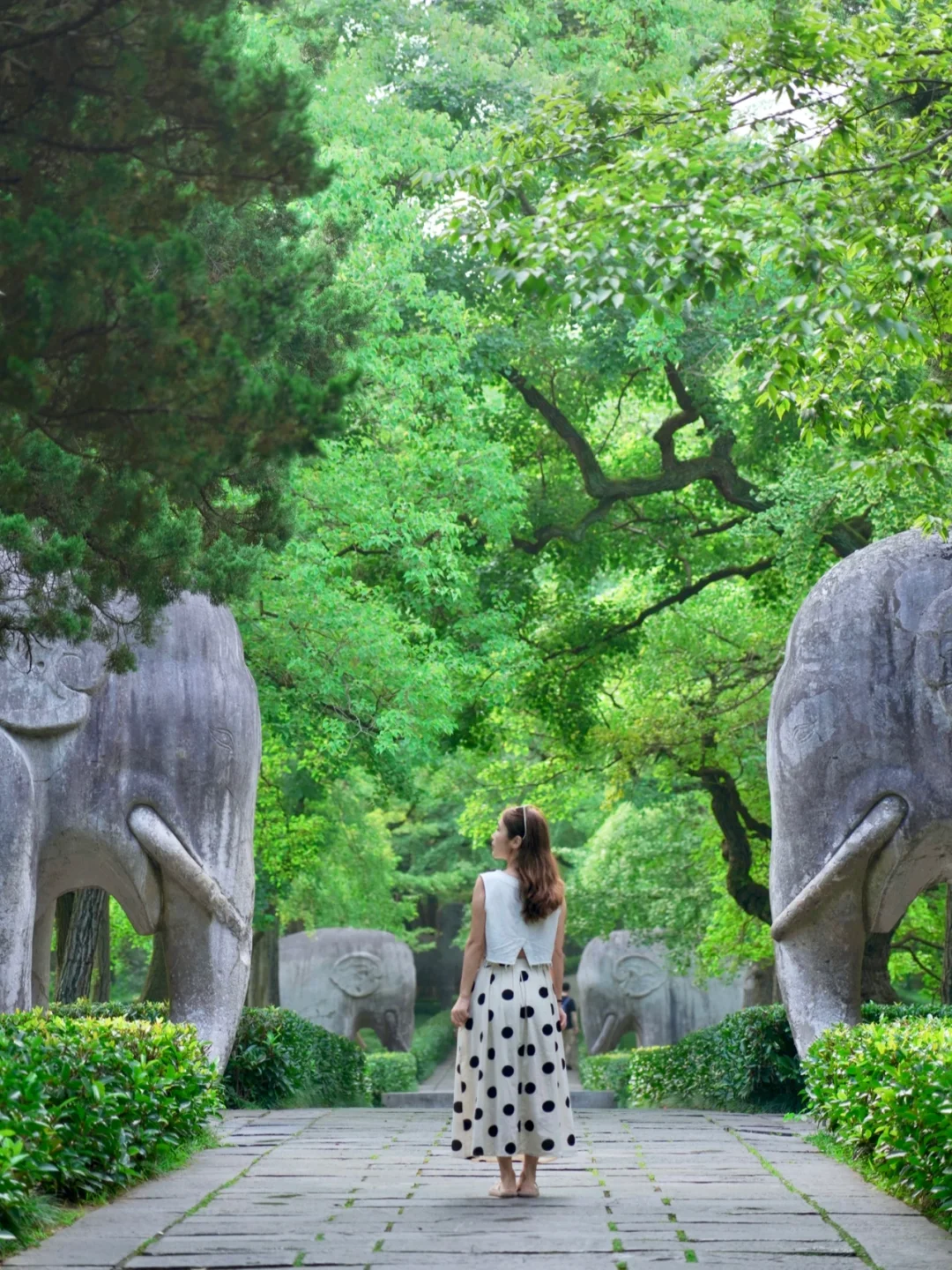 南京旅行后劲太大了😭，听听我的真实感受！