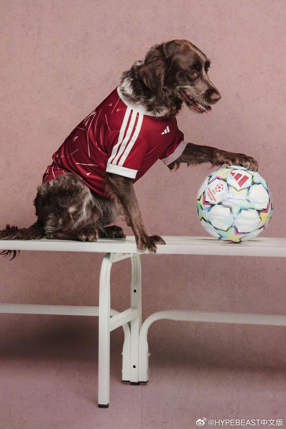 【adidas Originals 为宠物推出 Real Madrid 与 Manchester United 球衣】

adidas Originals 将生活方式版图拓展至宠物领域，推出 2026—27 FC 宠物系列。该系列推出多家欧洲及美洲主要俱乐部的迷你足球球衣，包括皇家马德里、曼彻斯特联、阿森纳和墨西哥美洲。每款球衣均按常见宠物的身形比例剪裁， ​