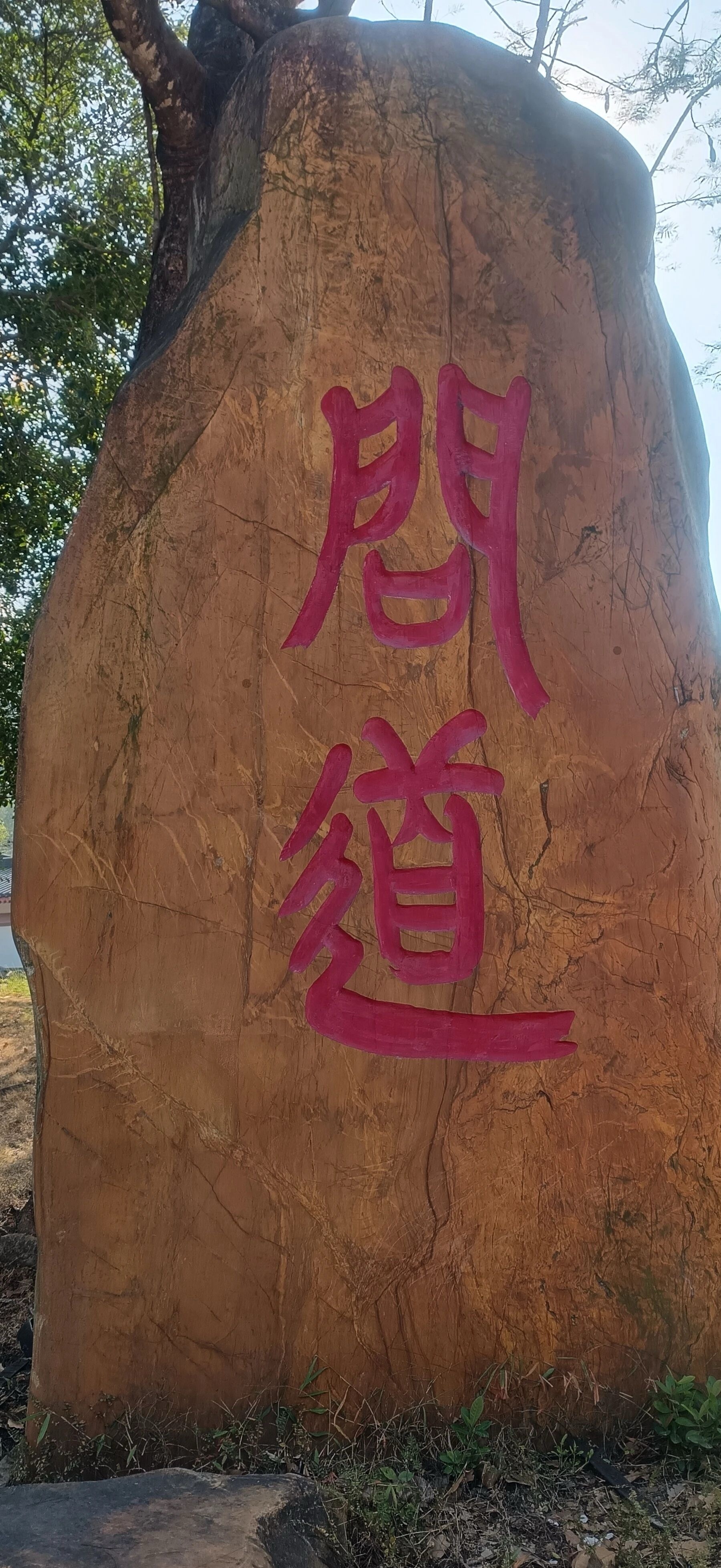 婚姻大事婚姻者，人之大伦也，生世相携，殆居三纪之半。故择偶宜慎，度以智识，参诸子平之术，察五行之和合，观运岁之冲克，推演休咎，预为绸缪。如是则良缘可期，患害可弭，庶几琴瑟永谐，家室安康。此诚达者择配之要道，亦合婚之本旨也。 ​​​