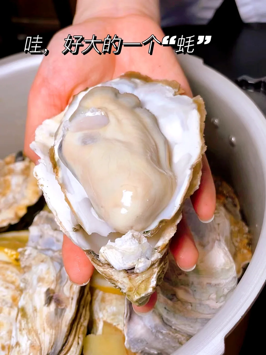 乐清｜这家新开的生蚝店里居然还有龙虾卷面