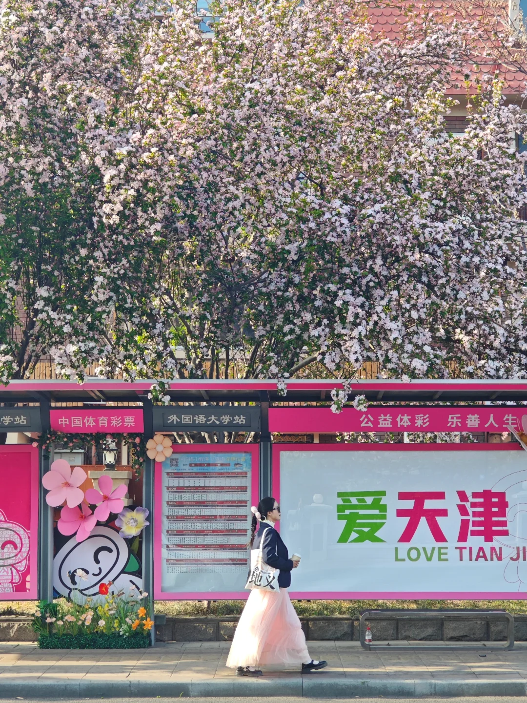 4.2五大道海棠开了🌸18张漂亮照片附机位