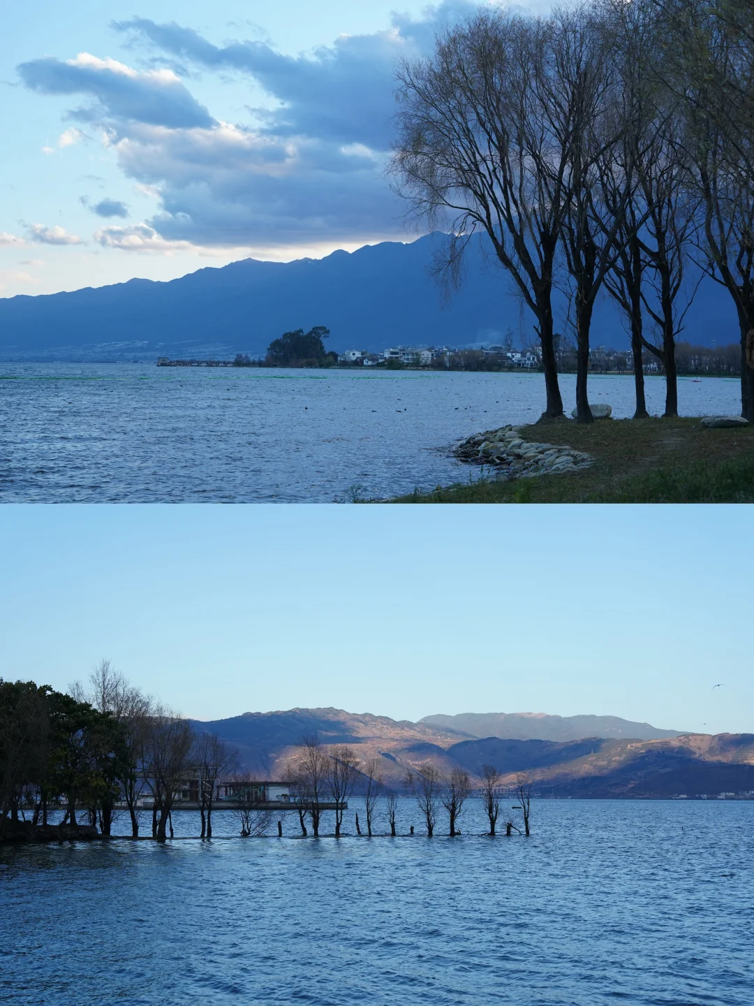 在喜洲住到梦中情宿，面朝大海，春暖花开🌊