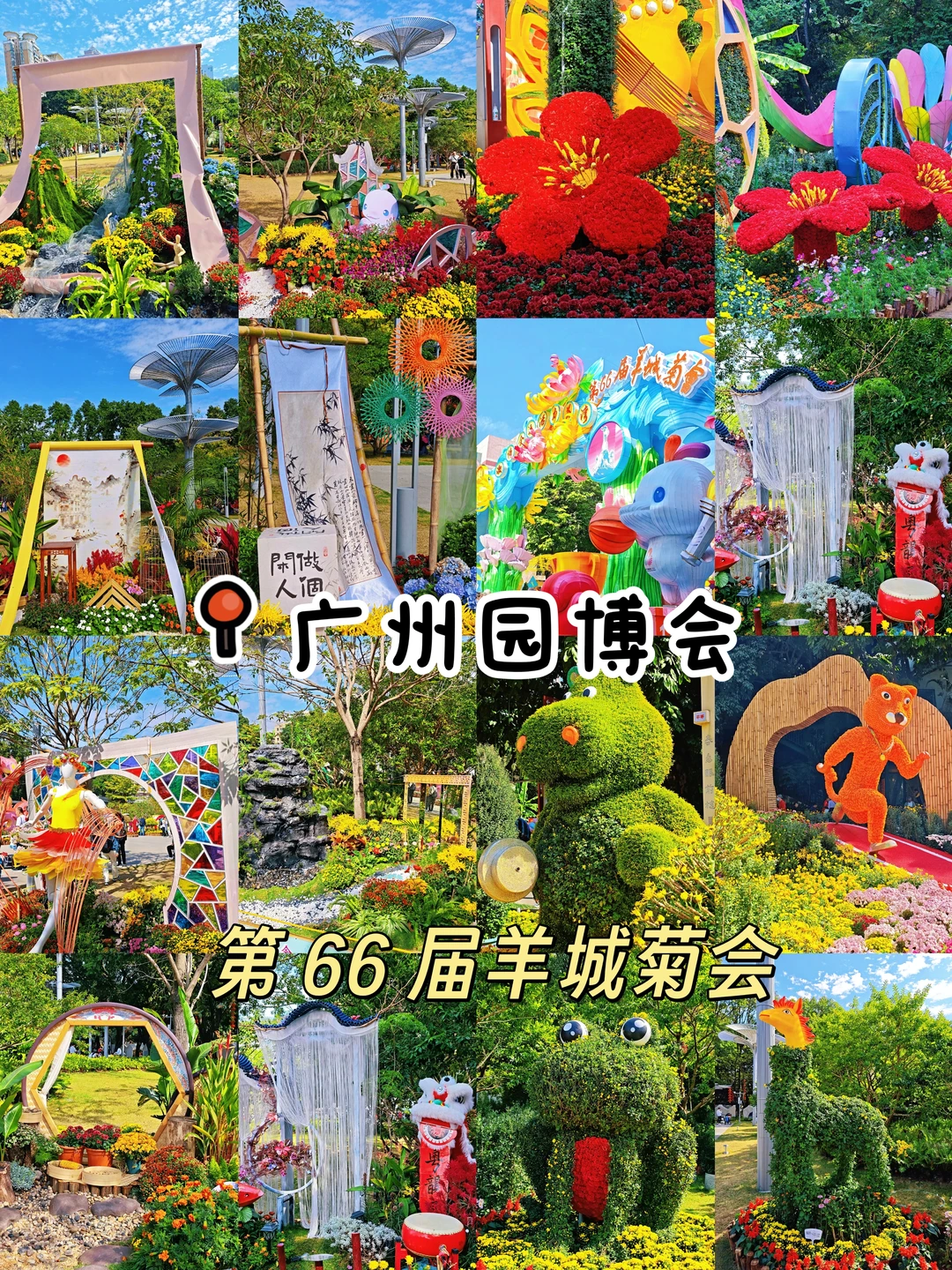 广州园博会！第66届羊城菊会！免费🆓好拍