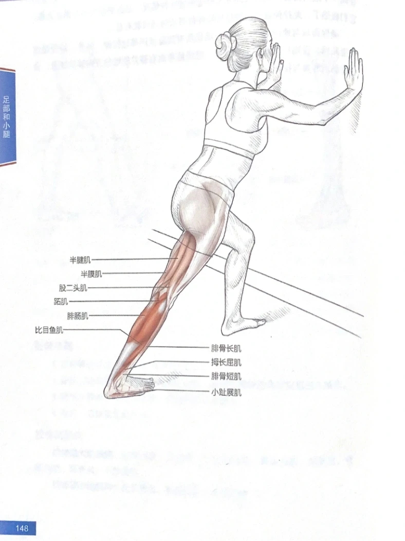 最有效的拉伸小腿方法（瘦小腿）