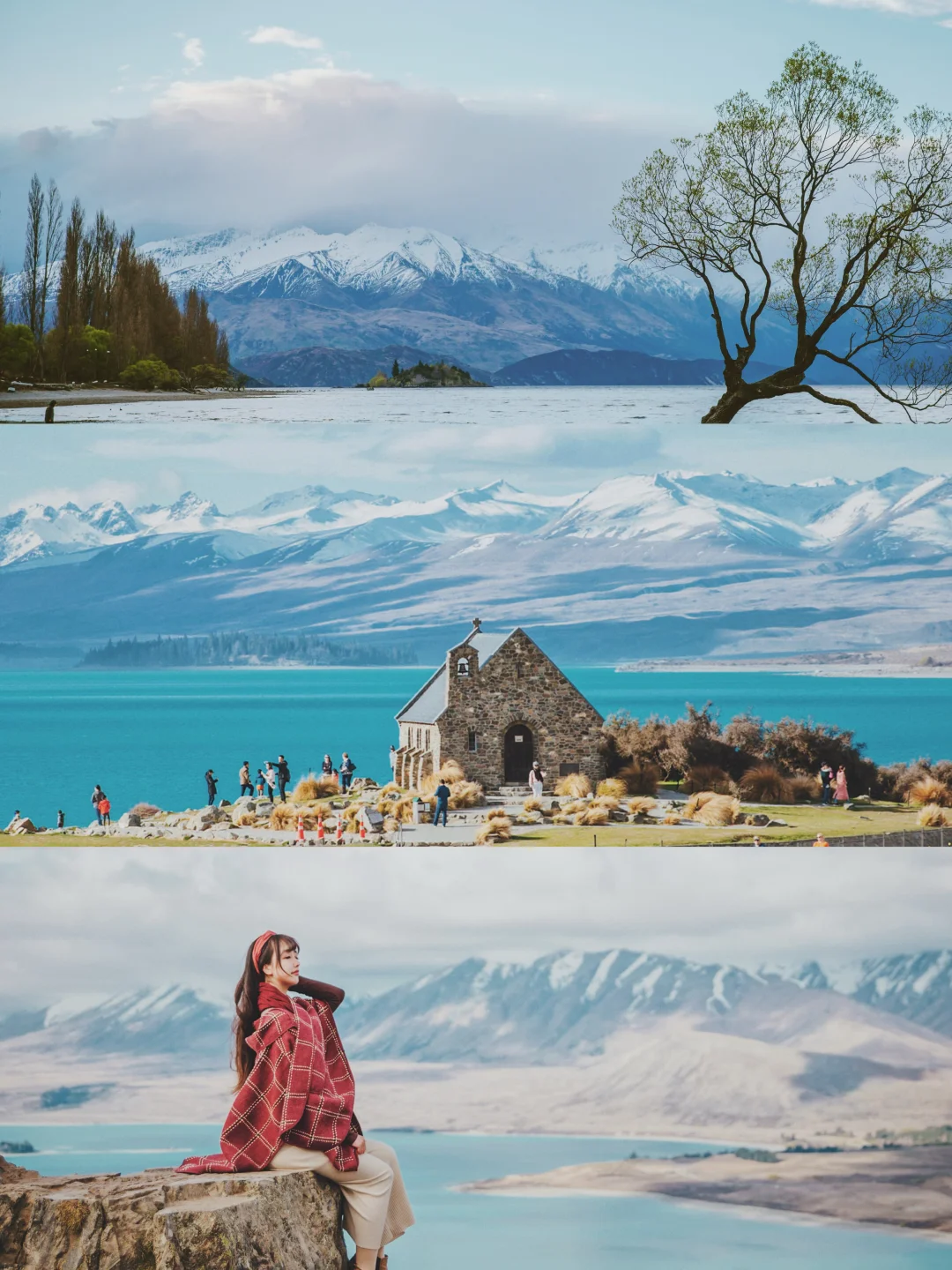 🇳🇿踩坑无数后，总结的新西兰超全旅行攻略