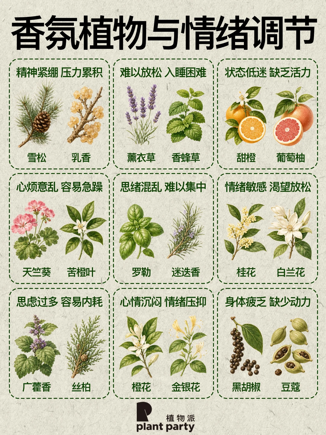 🌿香氛植物情绪拯救指南