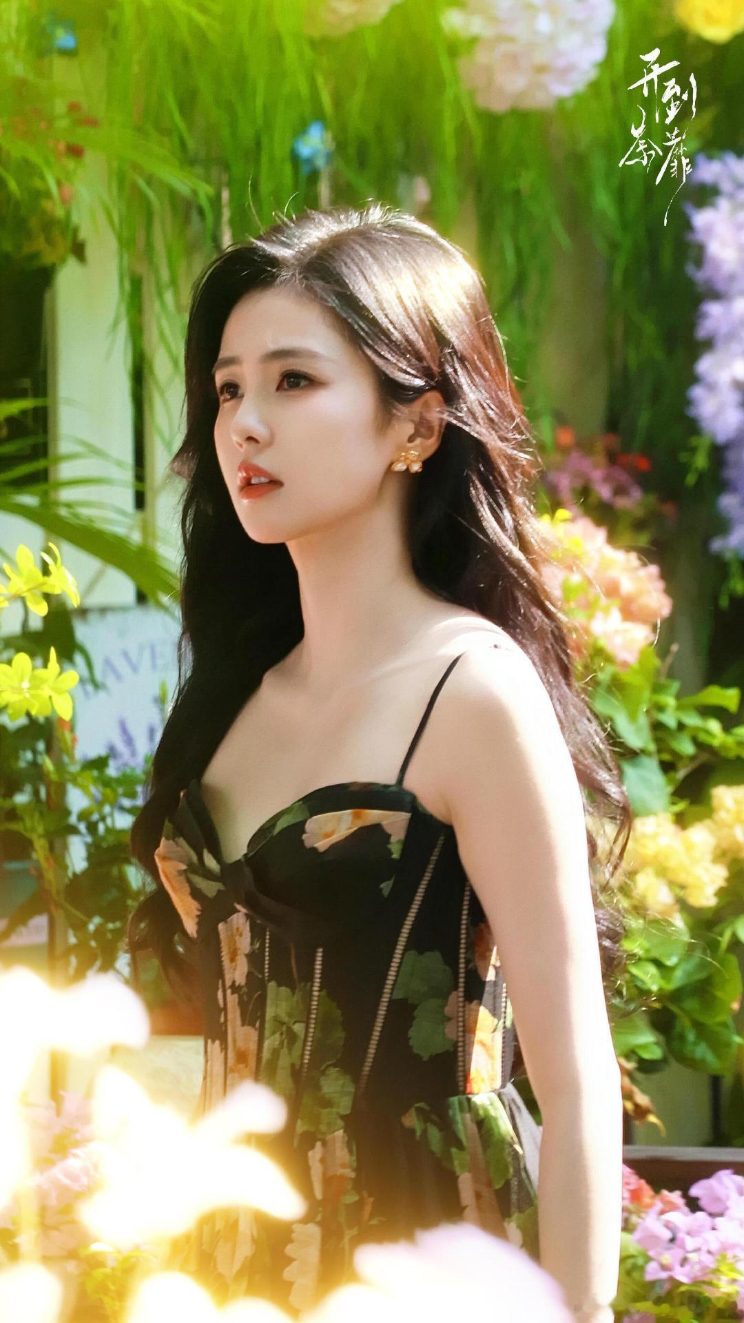 #白鹿[超话]# 🥀#白鹿王韵娜# 🥀#白鹿开到荼蘼#
舞台上玫瑰绽放耀眼光芒，我与你总会相逢𝑹𝒐𝒔𝒆𝒔 𝒔𝒉𝒊𝒆 𝒐𝒏 𝒕𝒉𝒆, 𝒂𝒏𝒅 𝒚𝒐𝒖 𝑰 𝒘𝒊𝒍𝒍 𝒂𝒍𝒘𝒂𝒚𝒔 𝒎𝒆𝒆𝒕.
​