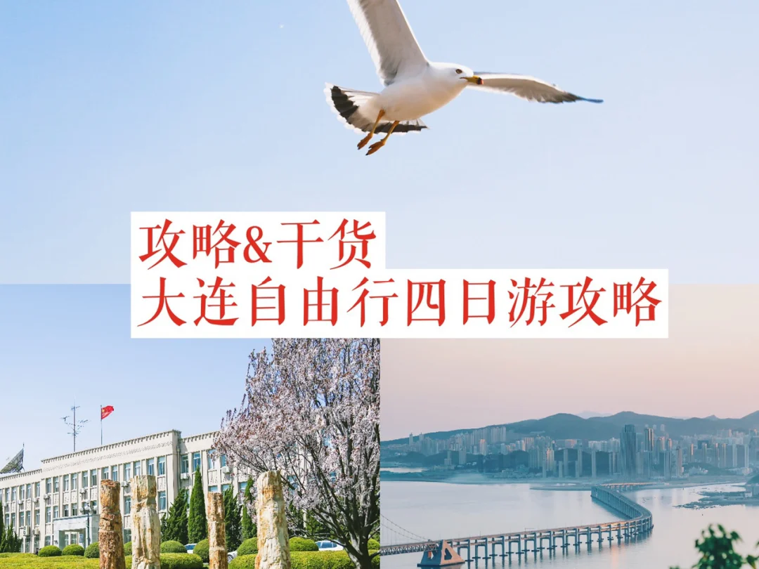 浪漫之都 | 大连4日游自由行攻略🏖️