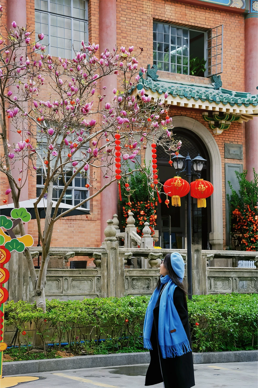 广州玉堂春赏花指南|百年建筑邂逅岭南春信