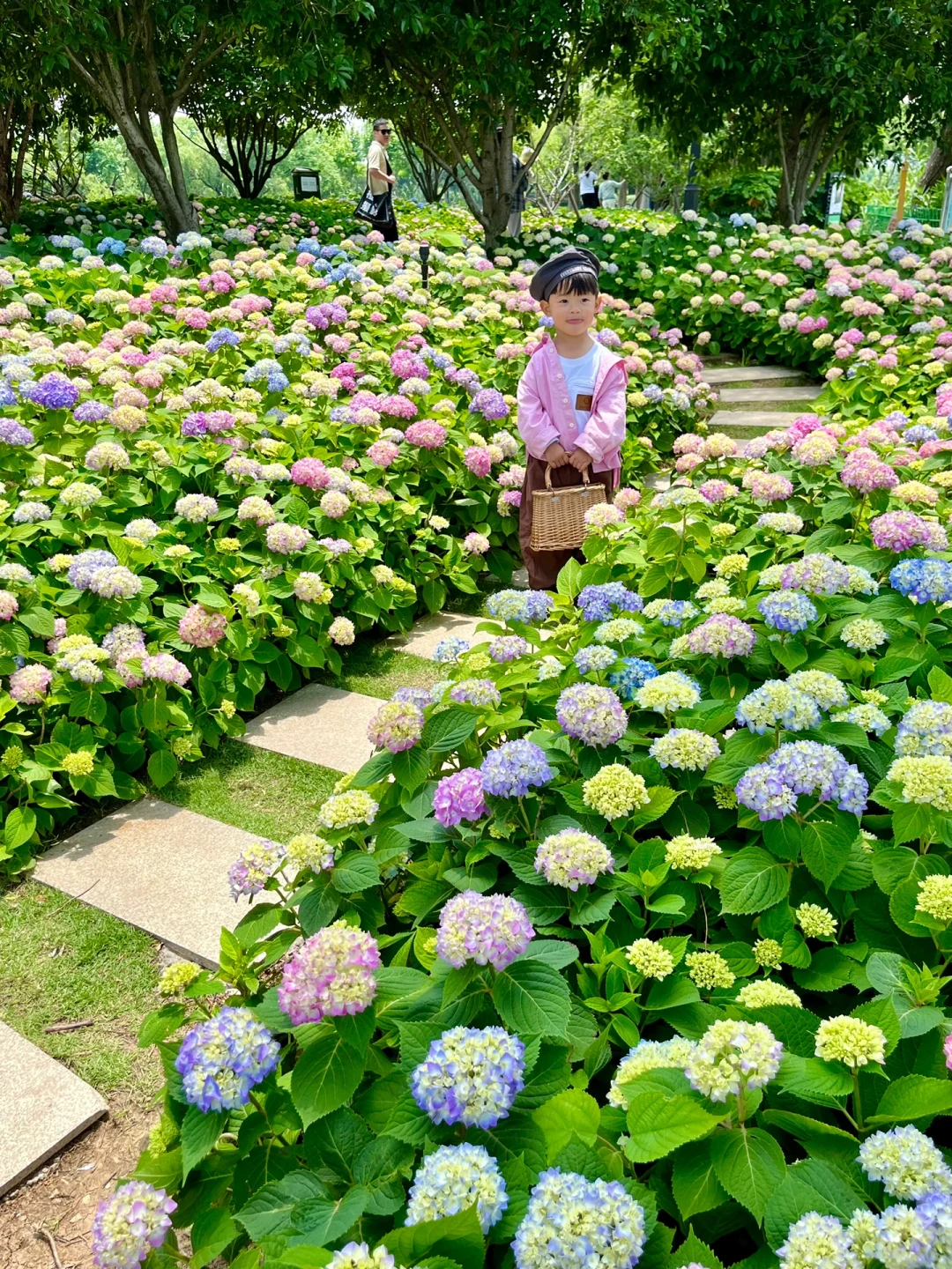 我找到了武汉无人知晓的绣球花海‼️附路线