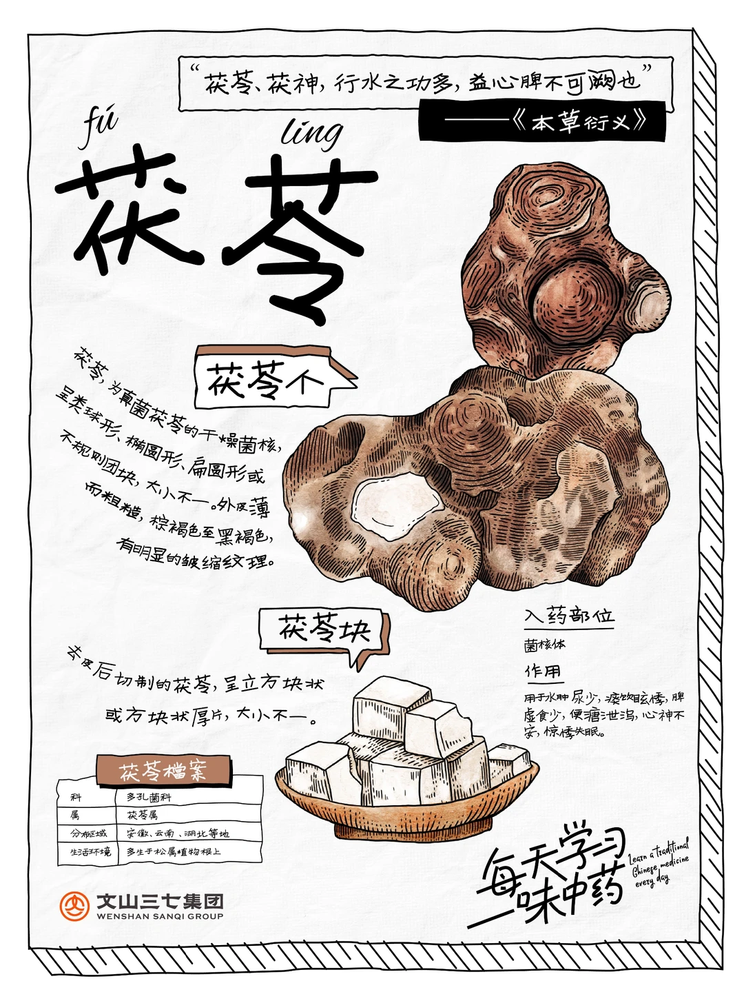 👉🏻每天学习一味中药|茯苓