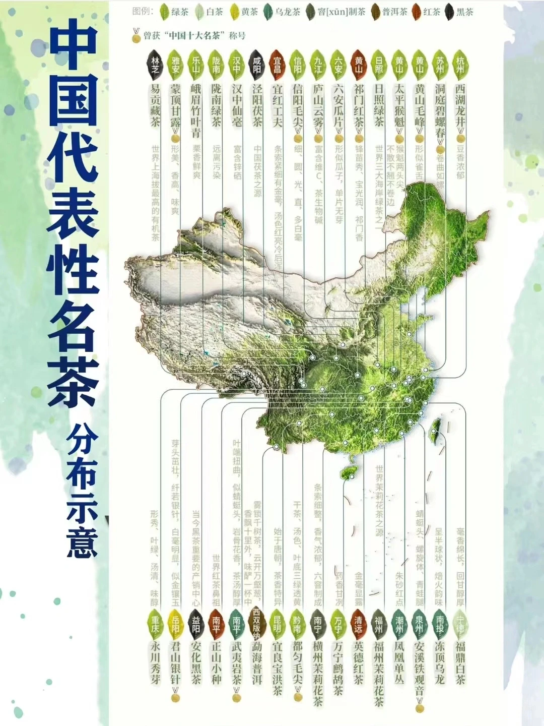 一文看懂我国代表性名茶