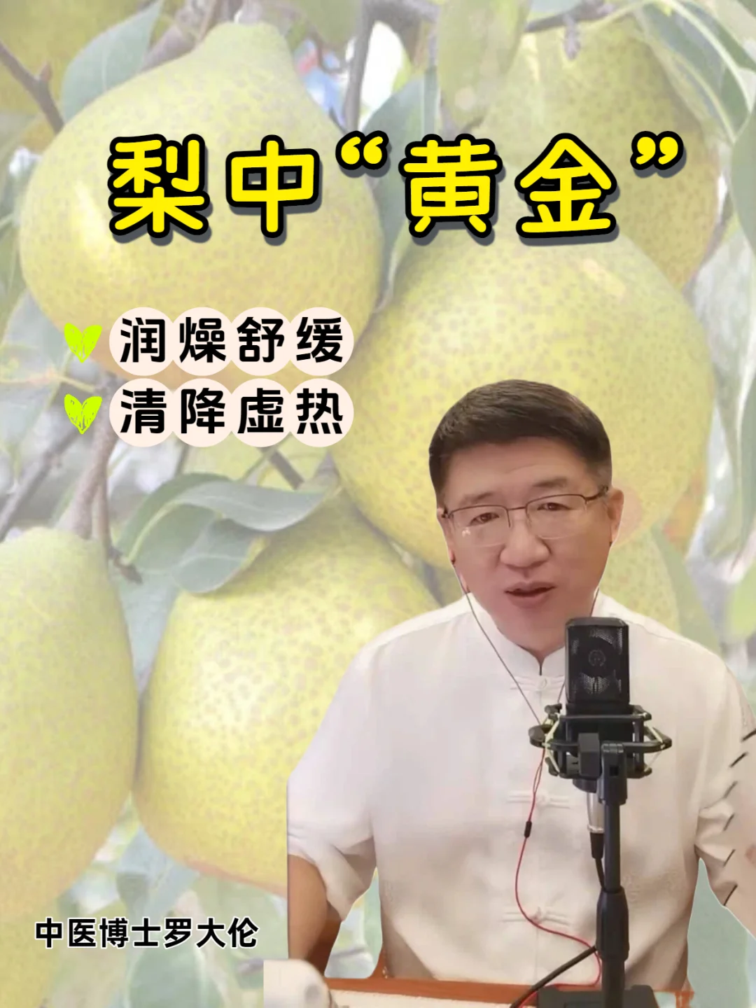 秋冬润燥养肺解虚热的梨，要选“梨中黄金”