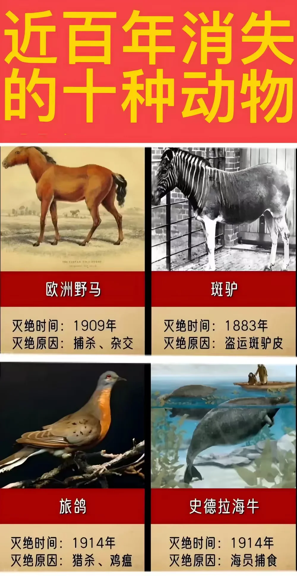 近百年消失的十种动物一览表