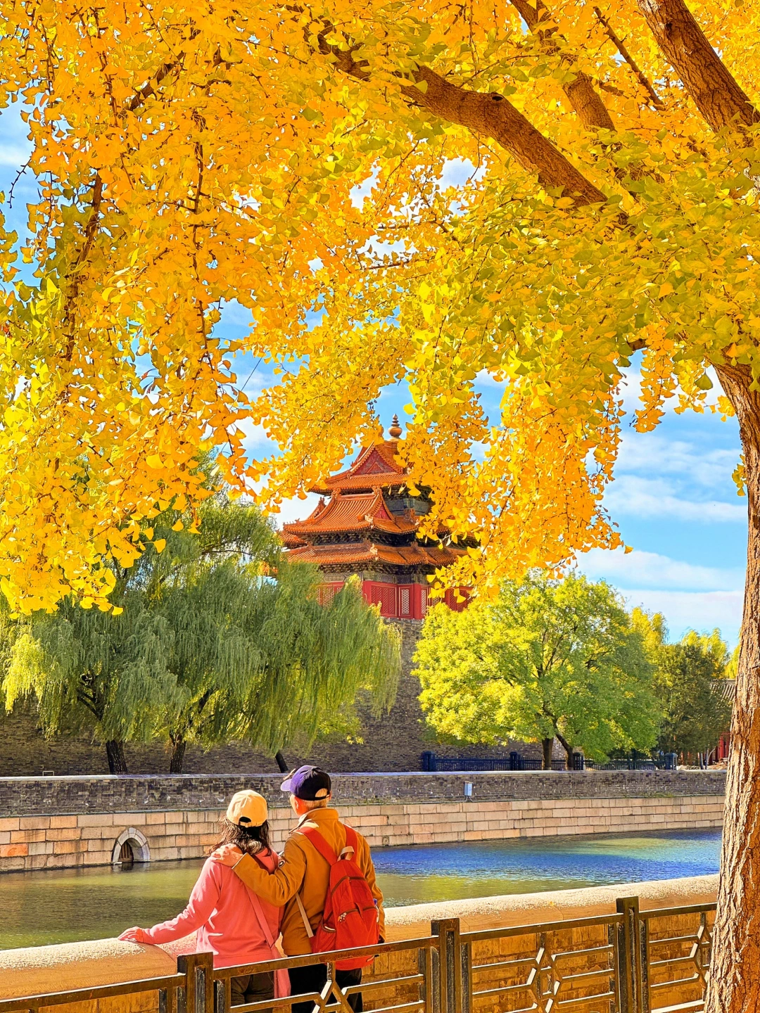 11月来北京你将看到…秋天巅峰🍂美哭了❗️