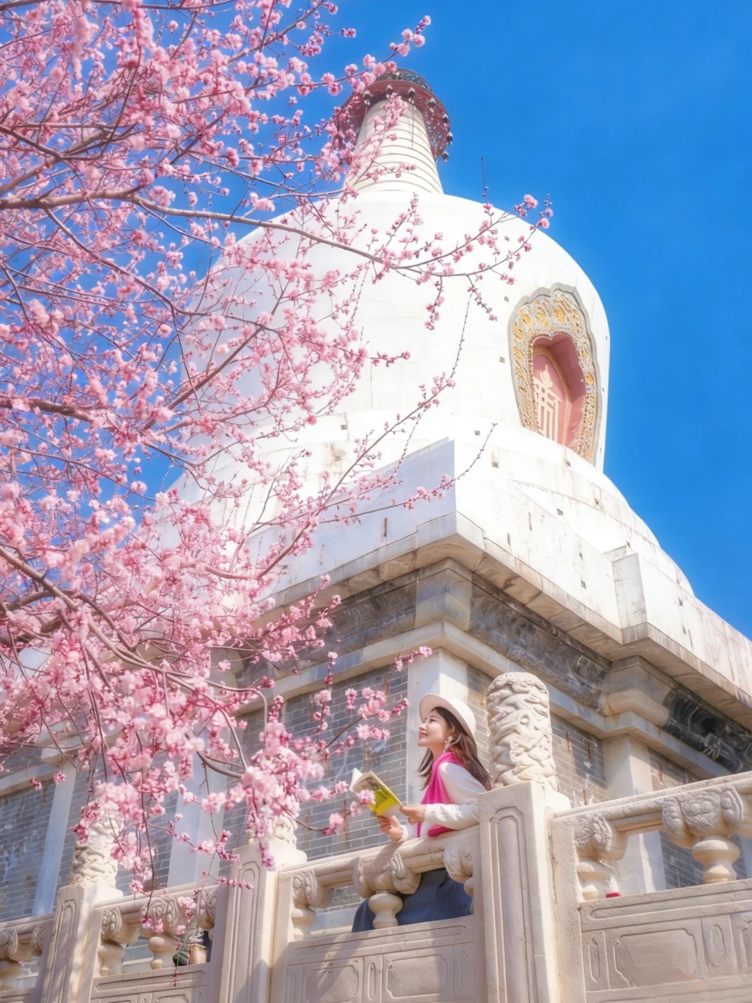 3.12实况live🌸北海公园桃花神树开好啦！！