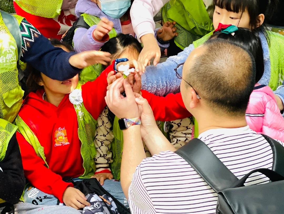 这是什么花？这是大家问的最多的问题。