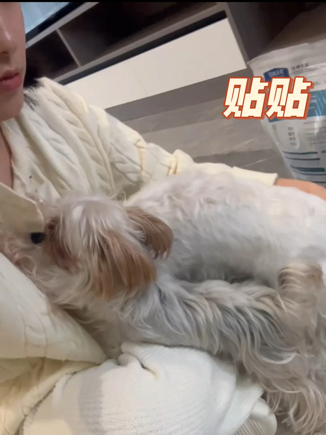 爱小狗爱家人爱自己