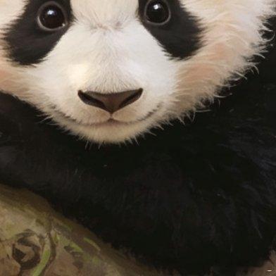 茫茫山林间，熊猫守护者默默坚守。他们穿行密林，监测大熊猫活动，守护赖以生存的家园。保护国宝不只是少数人的任务，我们每个人都可以成为守护者。文明观览，不投喂、不打扰，爱护自然环境。用微小行动守护黑白精灵，让大熊猫在山野间自在栖息，生生不息。
#熊猫守护者[超话]# ​