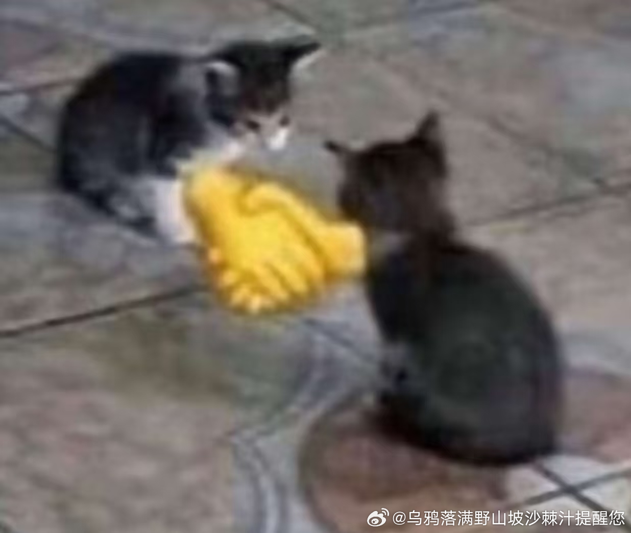 #秋豆麻day# 
上午和老板T去客户公司汇报。
回来的时候本来计划坐地铁回公司，结果T说坐她车。

天塌了啊就这样上了老板的保时捷。

两点的时候还在路上，微信弹出之前约了时间语音沟通的hr，问现在ok不

不ok啊ok不了一点[柯基]我原本设想这个时间已经坐地铁回到公司，坐在电话亭和别的公司hr暗通款曲 ​