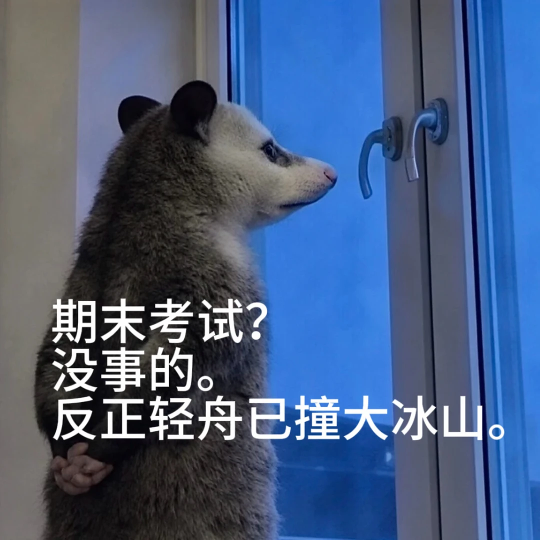 负鼠表情包|期末复习，老师一人的独角戏。🤪