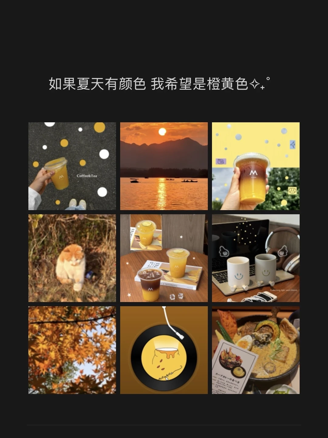 plog｜如果夏天有颜色 我希望是橙黄色✧₊˚