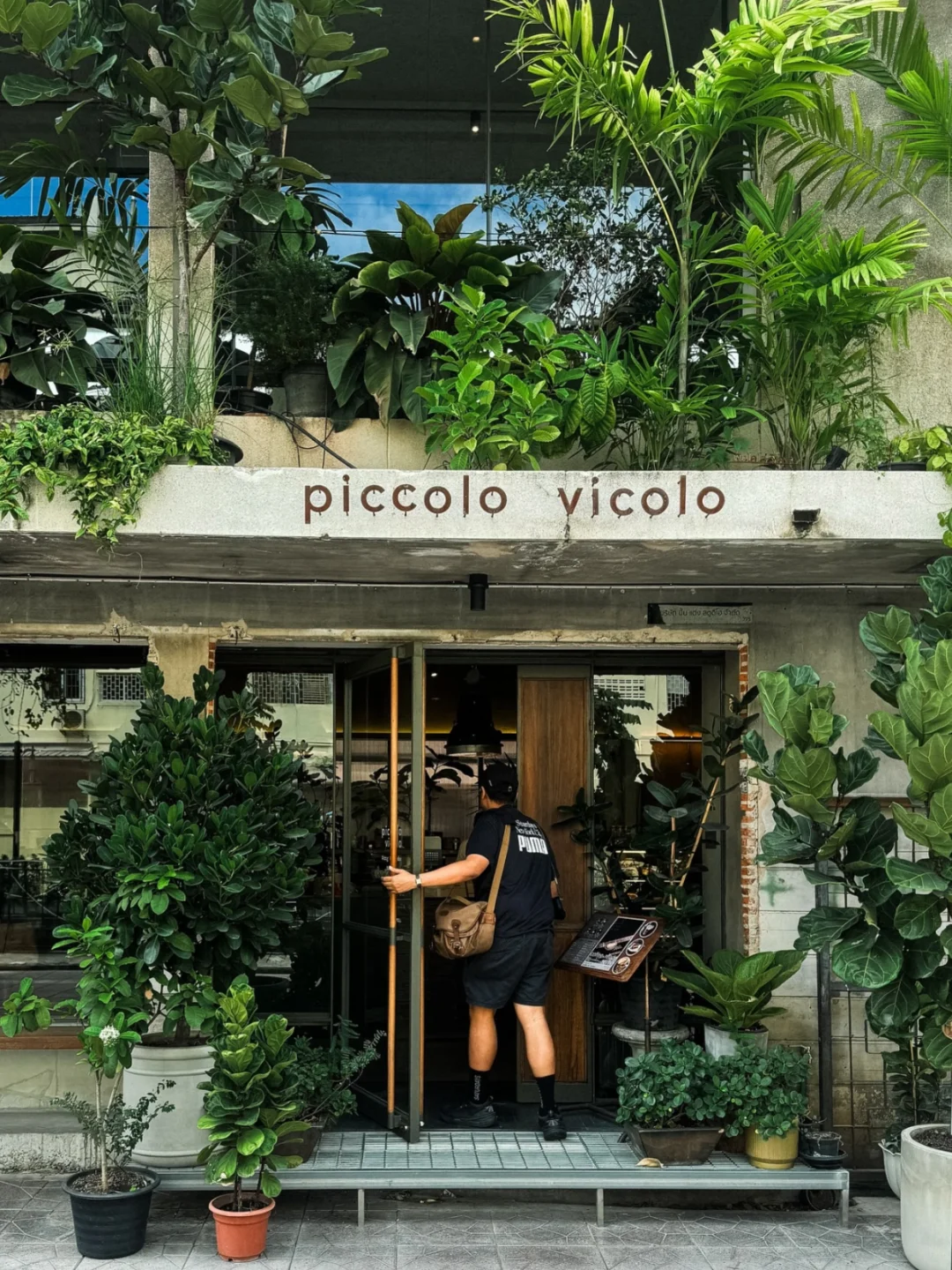 曼谷🌿一口气整理了🔟家绝美森林咖啡馆