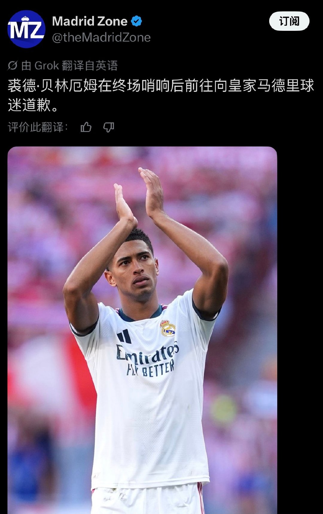 我该怎么描述你赤忱的心呢 ​