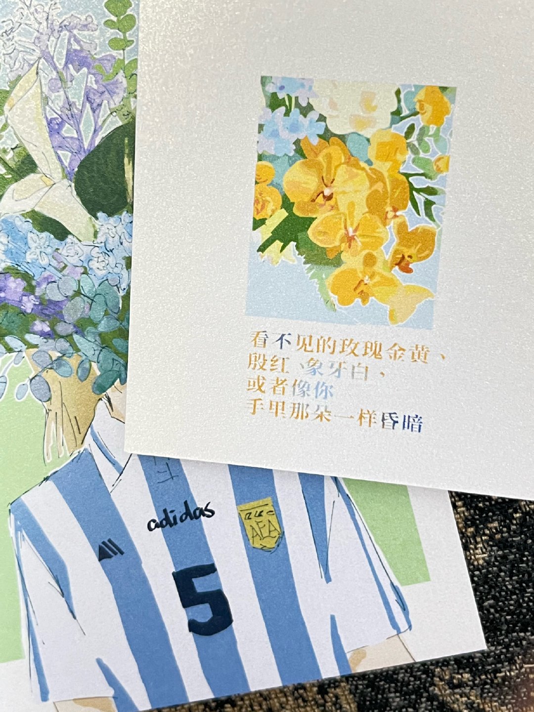 娥对这个花一窍不通 但印象好贴 ldd冷静疏离 玛利亚热烈自由 他的手还放在队徽上 aww超级爱了 不过古蒂皇马这件我真第一次见 竟然真有猫肉垫球衣！读诗感觉整个人都平静下来了 我喜欢这个文字颜色的变化 ​